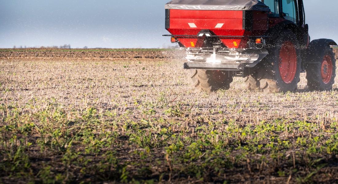 It is estimated that about 70 percent of phosphorus fertilizer used in Danish agriculture accumulates in soil, whereas only 30 percent of it reaches plants.