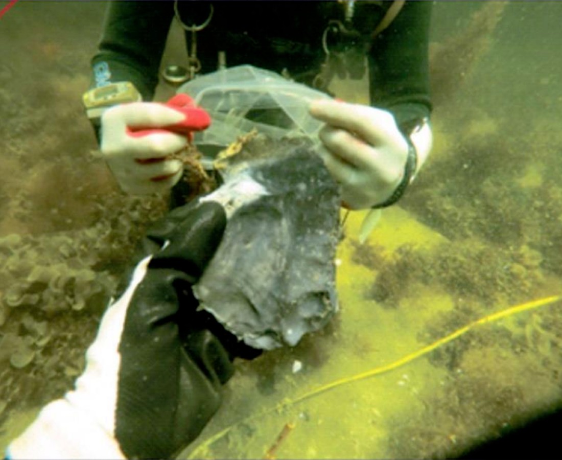 Photo of American divers who have detected similar sound signals and have found pieces of processed flint that revealed a submerged Stone Age site at Clints Scallop Hole in Florida. Photo: Joy & Smith