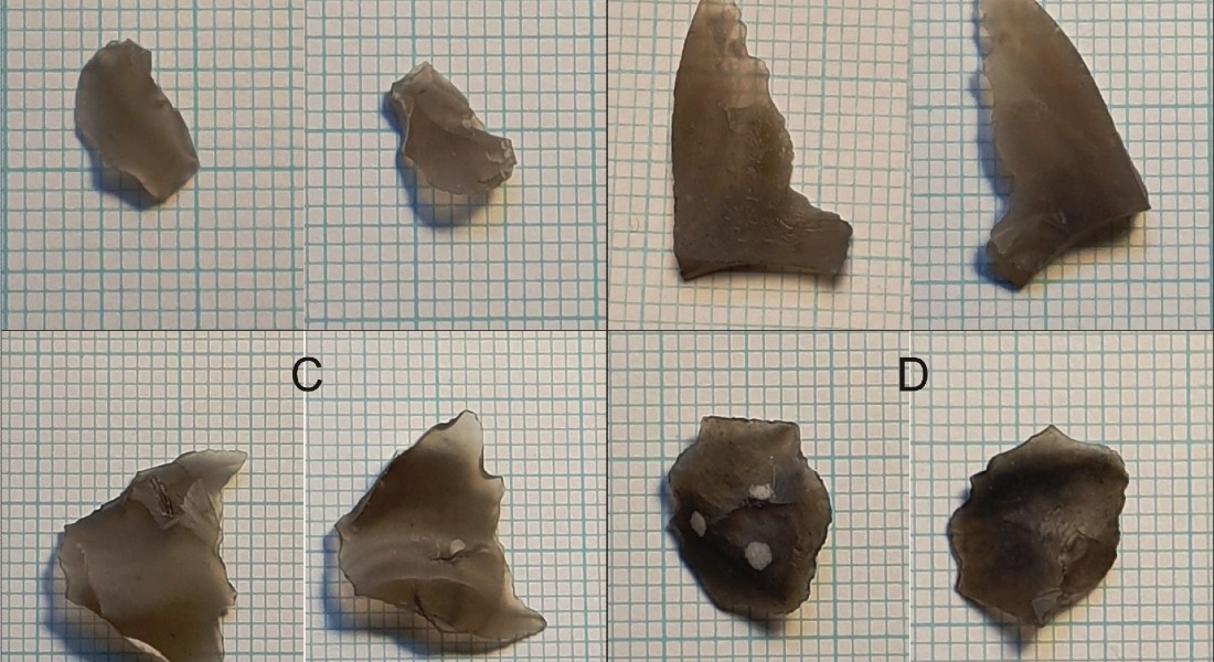 Here are the four pieces of flint, seen from both sides, that the researchers have found beneath the seabed in the habour. Photo: Ole Grøn