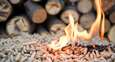 Bio-what? Half of Danes don’t know what biomass is