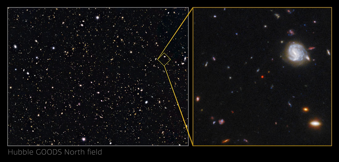 Récolte du GNz7q dans le champ Hubble GOODS-North 