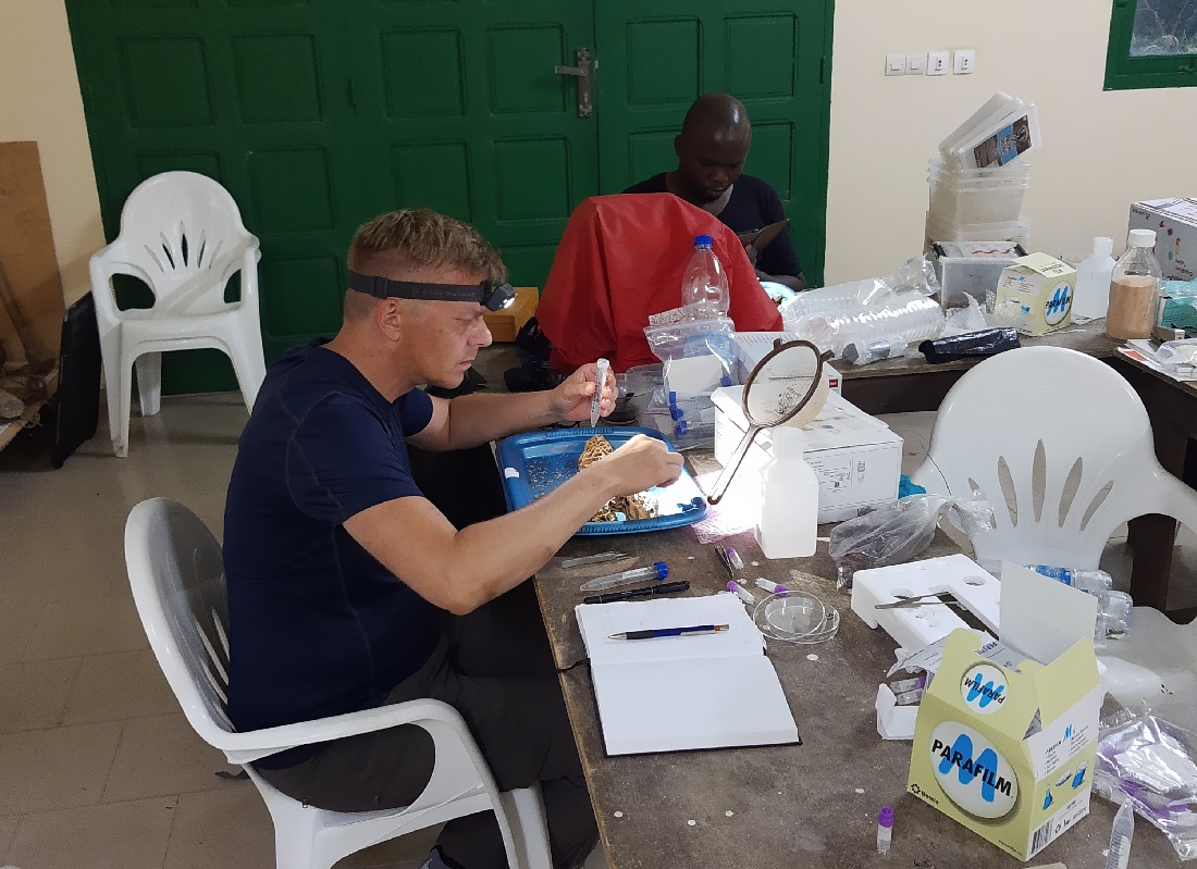 Michael Poulsen at work in Ivory Coast