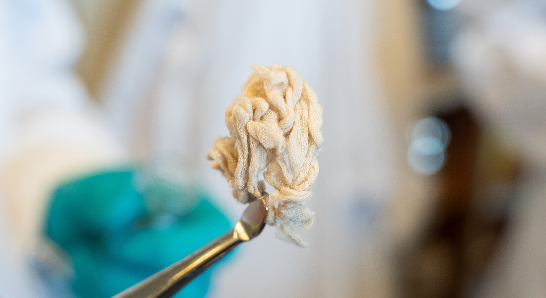 Intact cotton fibers after the process