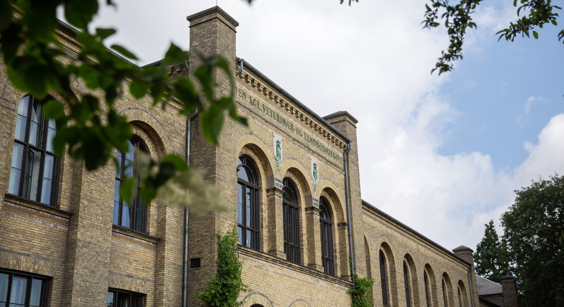 Faculty of science