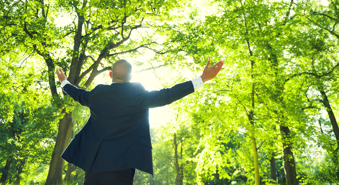 Businessman enjoys a forest