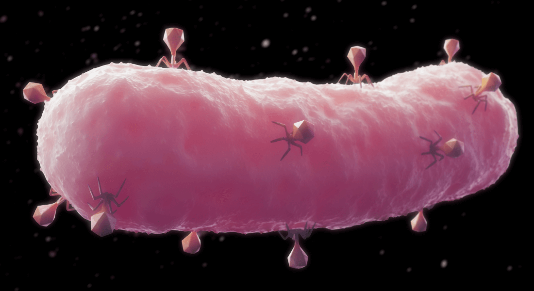 Illustration of phages attacking a bacteria cell
