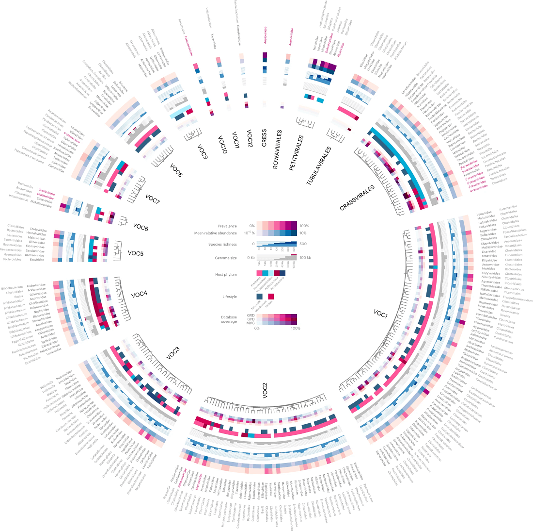An atlas of virus diversity