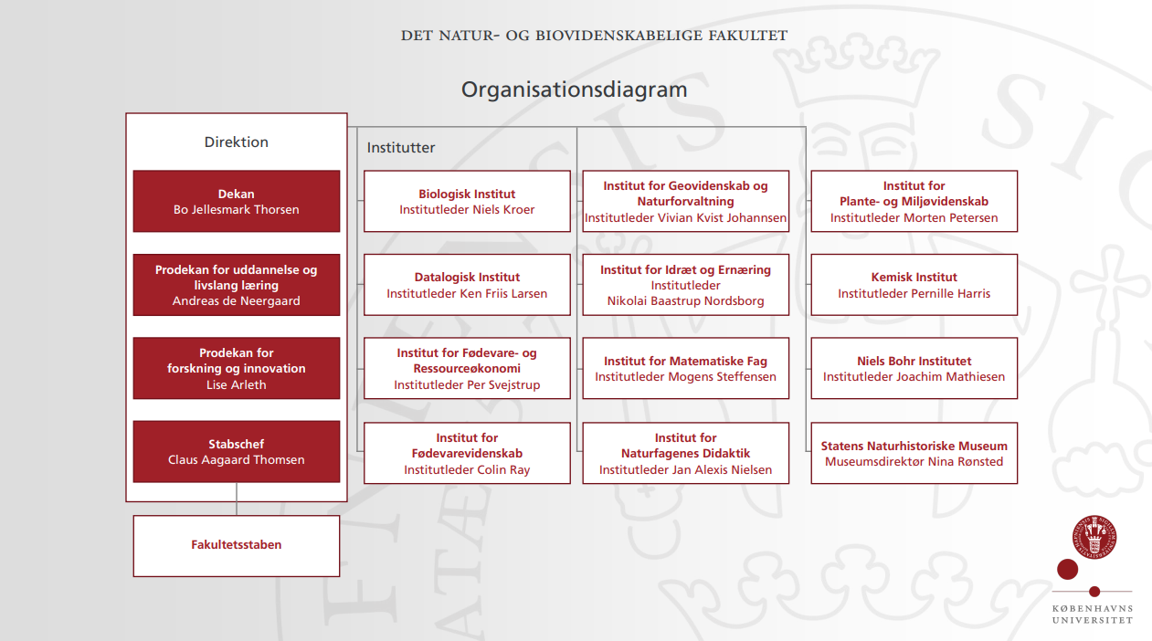 Organisationsdiagram