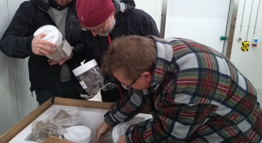 Her ses de danske forskere, der er igang med at hive de glemte iskerner op af en flyttekasse. Foto: Dorthe Dahl-Jensen
