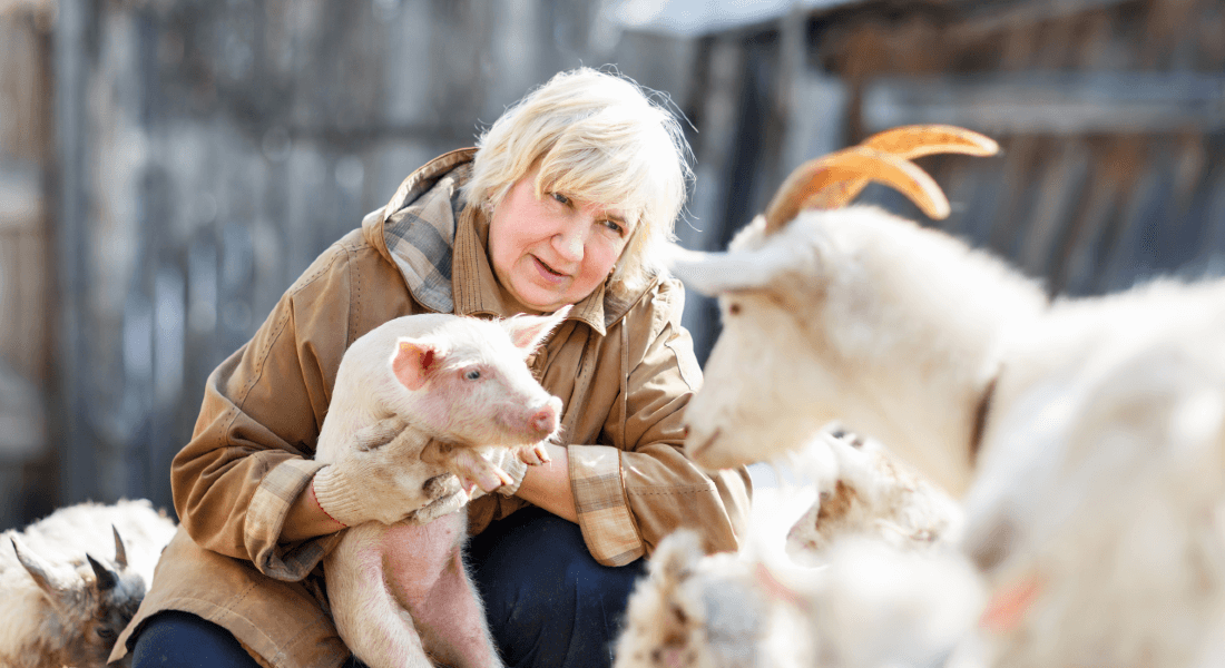 Kvinde lytter til gris og ged