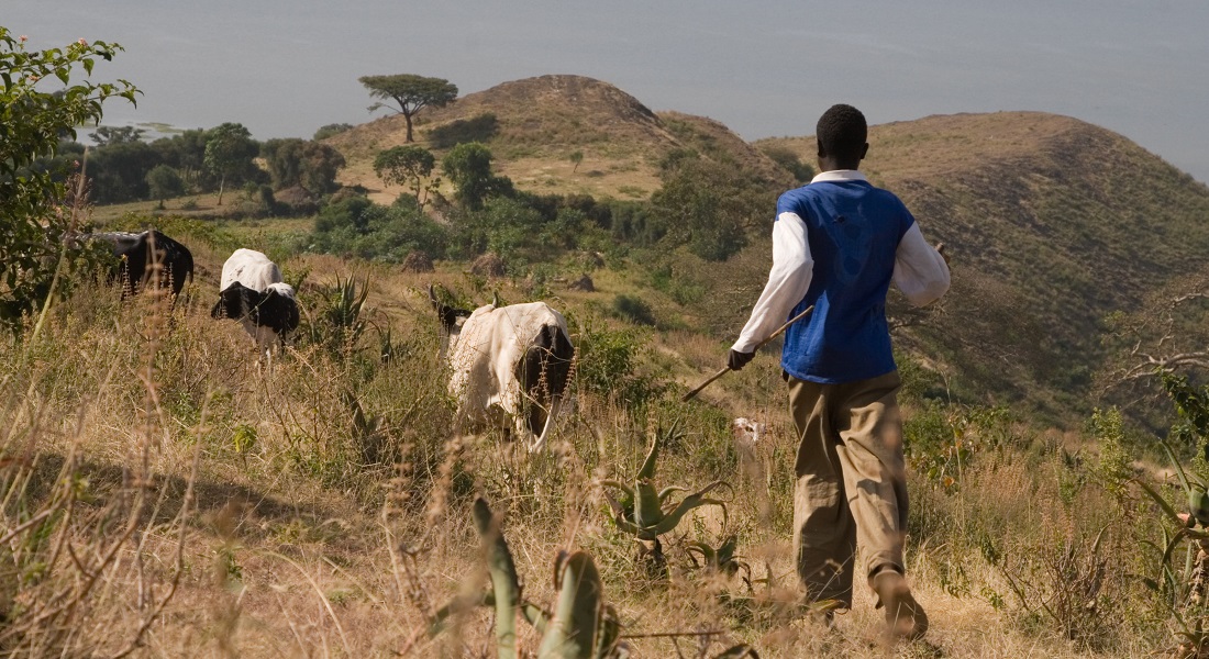 Etiopisk farmer