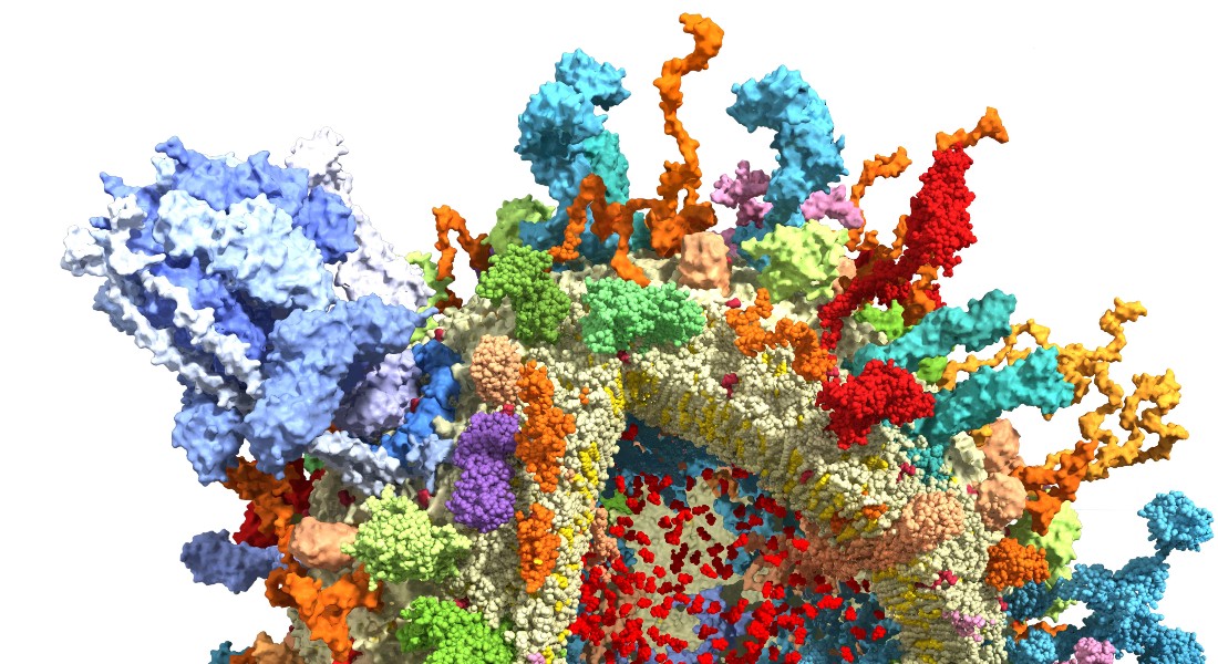 illustration af enzymet V-ATPase