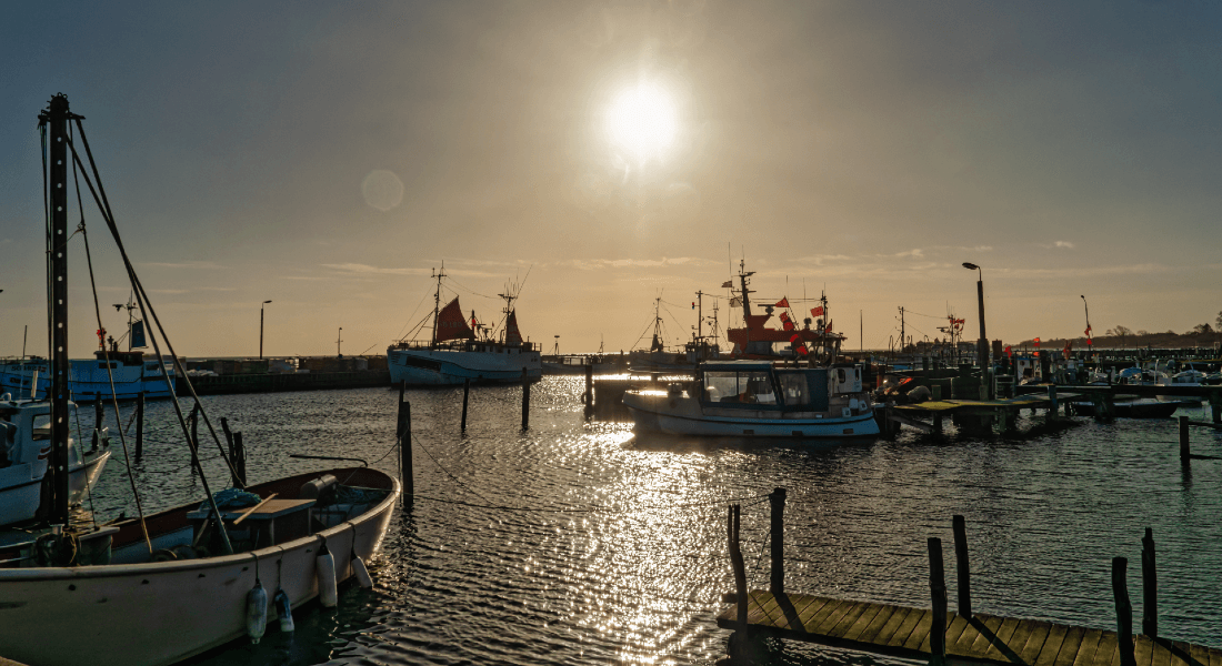 fiskerbåde i solskin