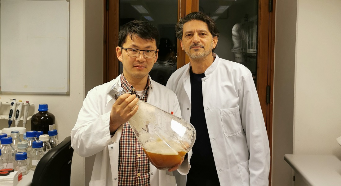Yong Zhao og Sotirios Campranis