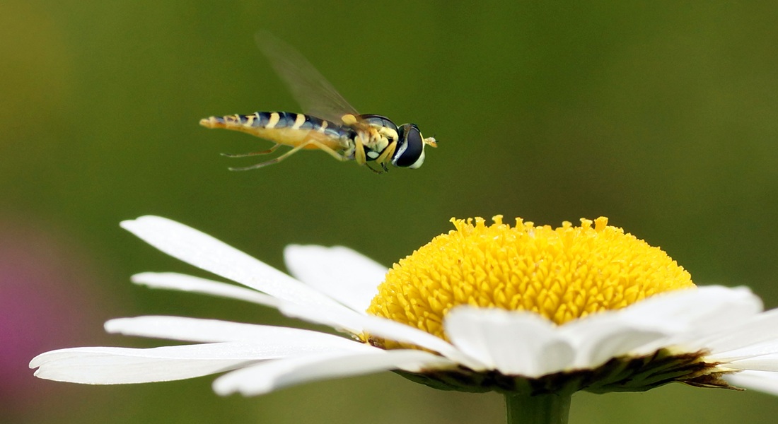 Foto: Getty Images Foto: Getty Images